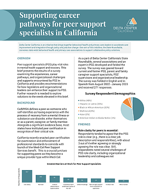 Peer workforce survey findings thumbnail