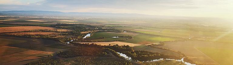 River delta